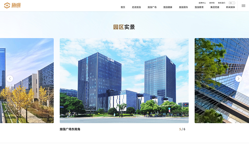 施强集团网站建设_杭州网站建设公司案例展示_予尚网络